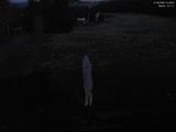 21 : 28