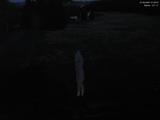 21 : 32