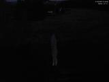 21 : 36