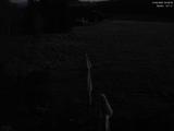 02 : 48