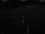 02 : 52