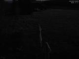 03 : 00