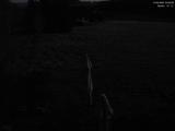 03 : 04