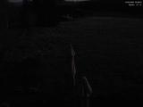 03 : 08