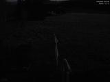 03 : 12