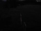 03 : 16