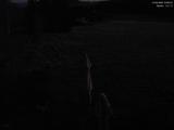 03 : 20