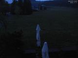 21 : 48