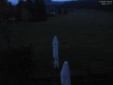03 : 44