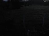03 : 00