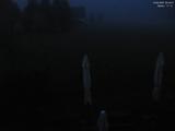 22 : 44