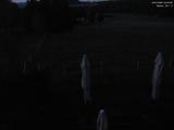 03 : 20