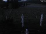 03 : 28