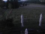 03 : 36