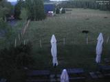 22 : 20