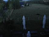 22 : 28