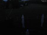 22 : 44