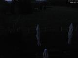 03 : 20