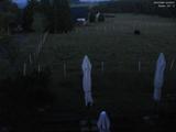 22 : 28