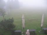 06 : 44