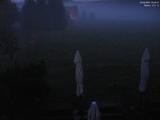 20 : 44
