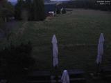 20 : 40