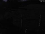 23 : 32