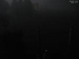 01 : 48