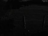 00 : 20
