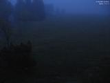 04 : 04