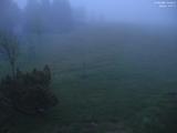 04 : 44