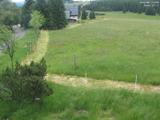 11 : 44