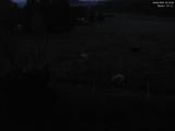 03 : 16