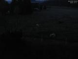 03 : 20