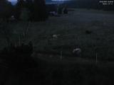 03 : 28