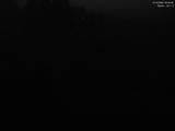00 : 36