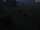 03 : 44