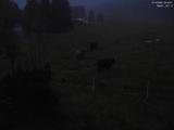 03 : 48