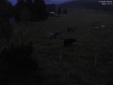 03 : 52