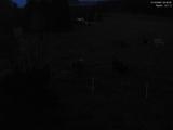 03 : 56