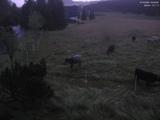 04 : 08