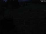 04 : 36