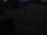 04 : 44