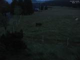 04 : 52
