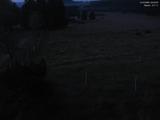 03 : 48
