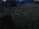 03 : 56