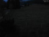 21 : 36