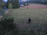 21 : 28