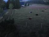 22 : 08