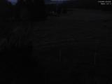 03 : 44